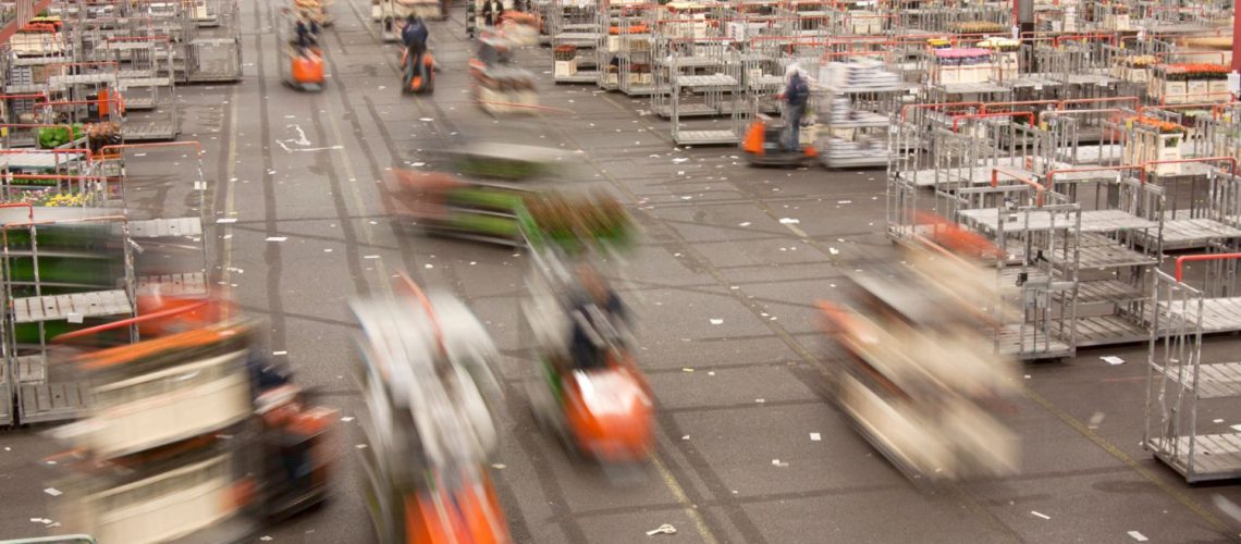 Distribution Businesses: Busy flowers distribution warehouse.